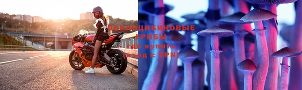 apvp Алексеевка