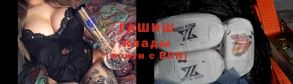 хмурый Алзамай