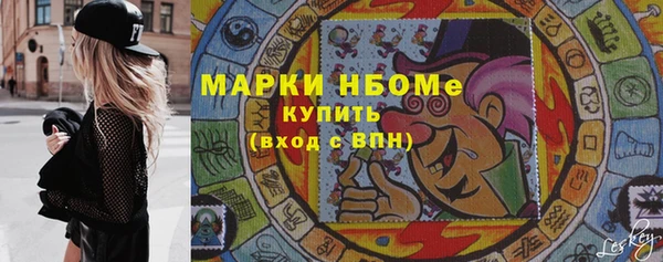 хмурый Алзамай