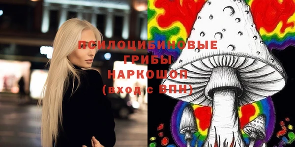 apvp Алексеевка
