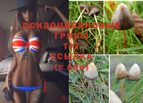 хмурый Алзамай